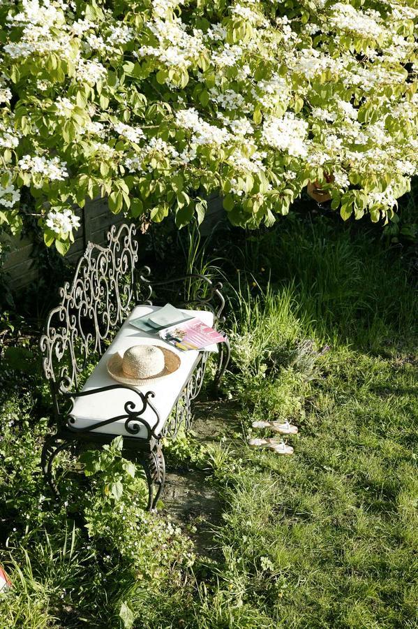 Moorland View Cottage North Bovey Dış mekan fotoğraf